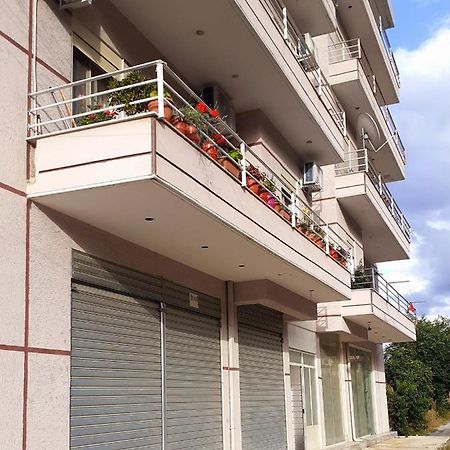 Drini Apartments Përmet Exteriör bild